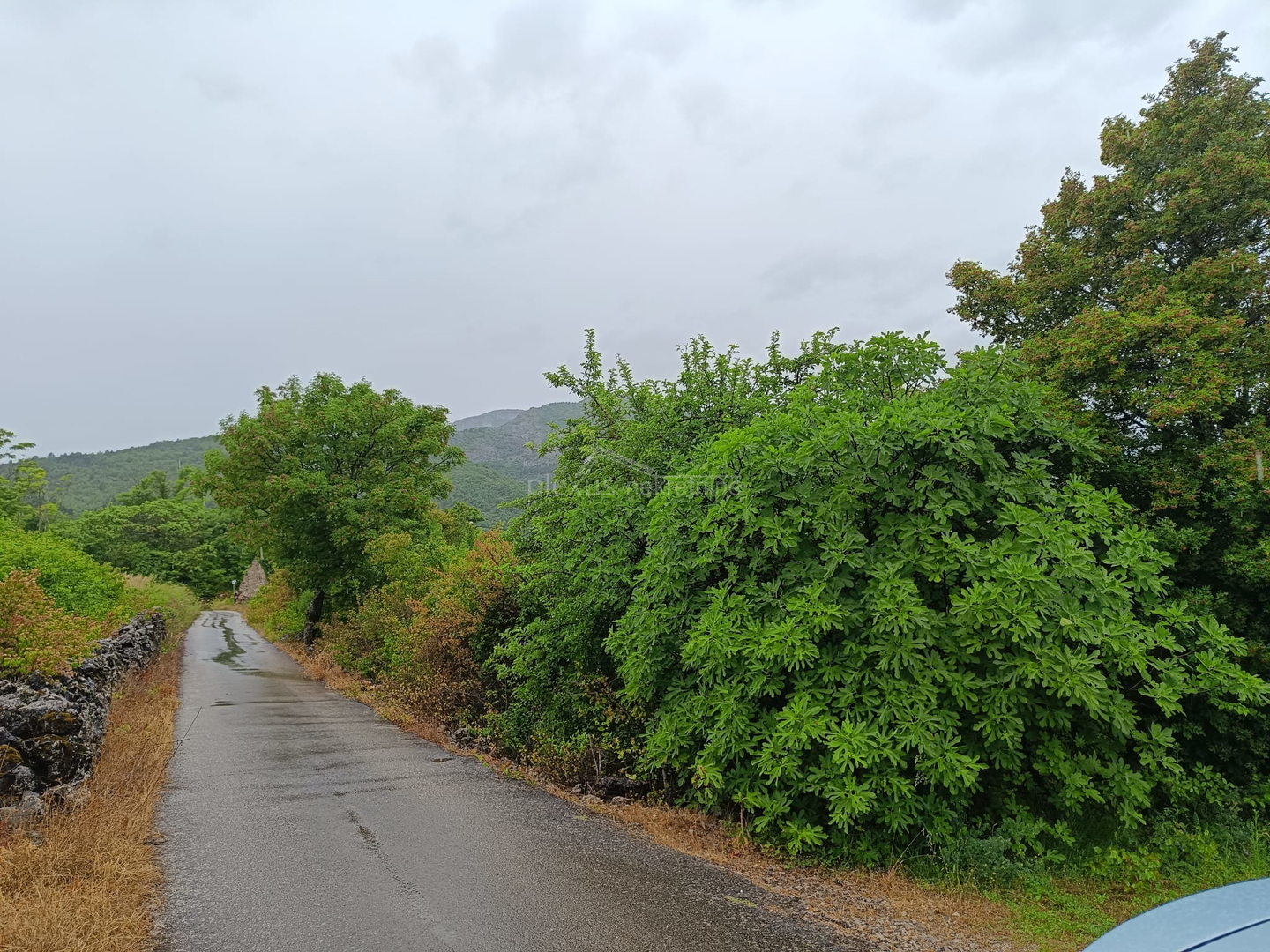 Građevinsko zemljište: Sinj-okolica, Potravlje, 2988 m2 - cover