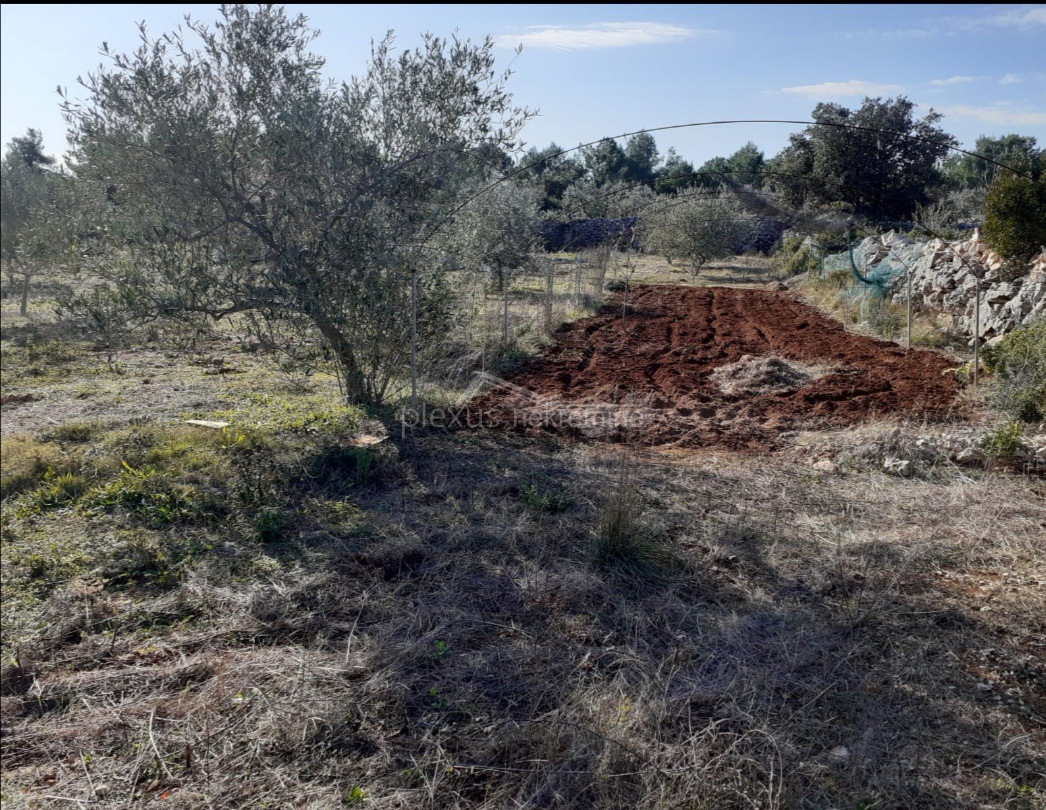 Poljoprivredno zemljište - uređeni maslinik: Šolta, Gornje Selo, 2635 m2 - cover