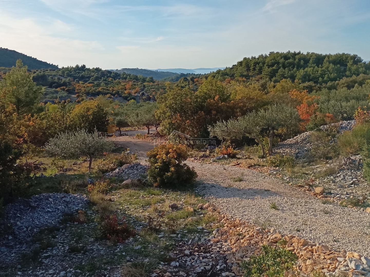 Građevinsko zemljište za OPG: Brač, Nerežišća 17430 m2 - cover