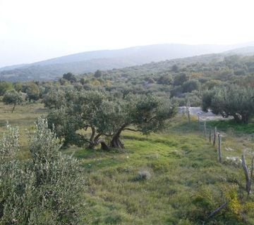 Poljoprivredno zemljište, Gornje Selo, 1500 m2 - cover