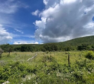 Poljoprivredno zemljište, prodaja, Punat, Hrvatska, 719 m2, 22.000,00 - cover