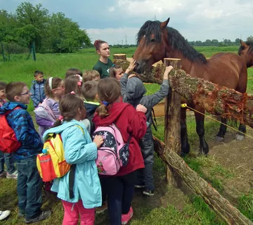 Edukativni programi za djecu - Krapje, Jasenovac