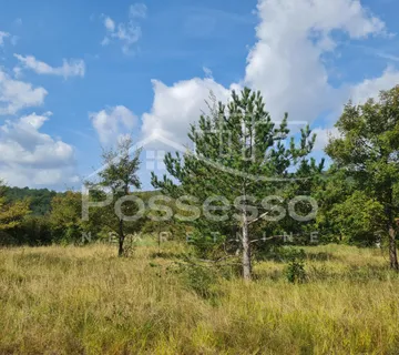 Zemljište Prodaja Buzet 953 m2 - cover
