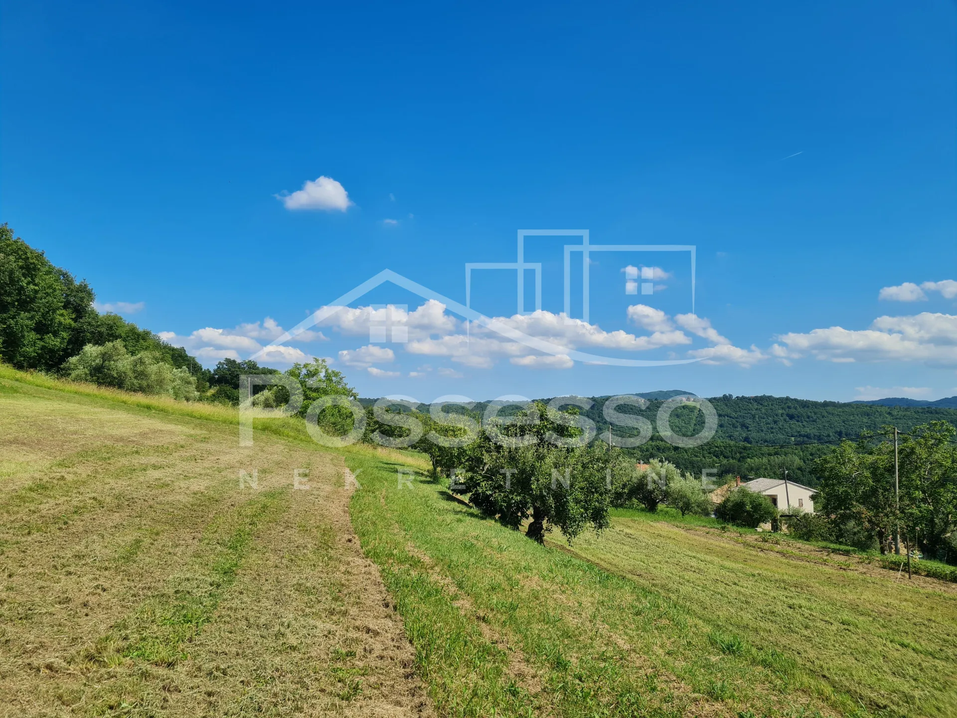 Zemljište Prodaja Vrh 2744 m2 - cover