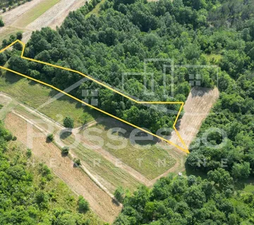 Zemljište Prodaja Vrh 2165 m2 - Vrh, Buzet