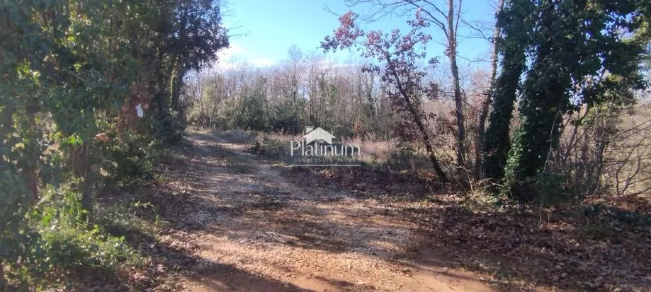 Istra,Duga uvala zemljište veličine 377m2 - cover