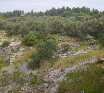 Prekrasno zemljište na Korčuli pogodno za izletište i agroturizam - cover