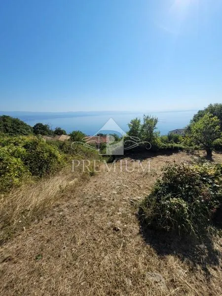 DVOJNA STARINA SA VELIKOM OKUĆNICOM - cover