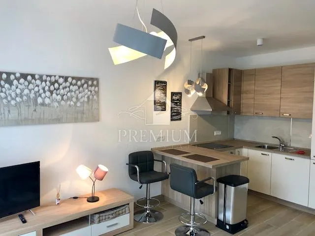 CENTAR RIJEKE -  stan 60 m2, dugoročni najam - cover