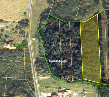 Sveti Ivan Zelina, Salnik ,šuma 4352m2 - cover
