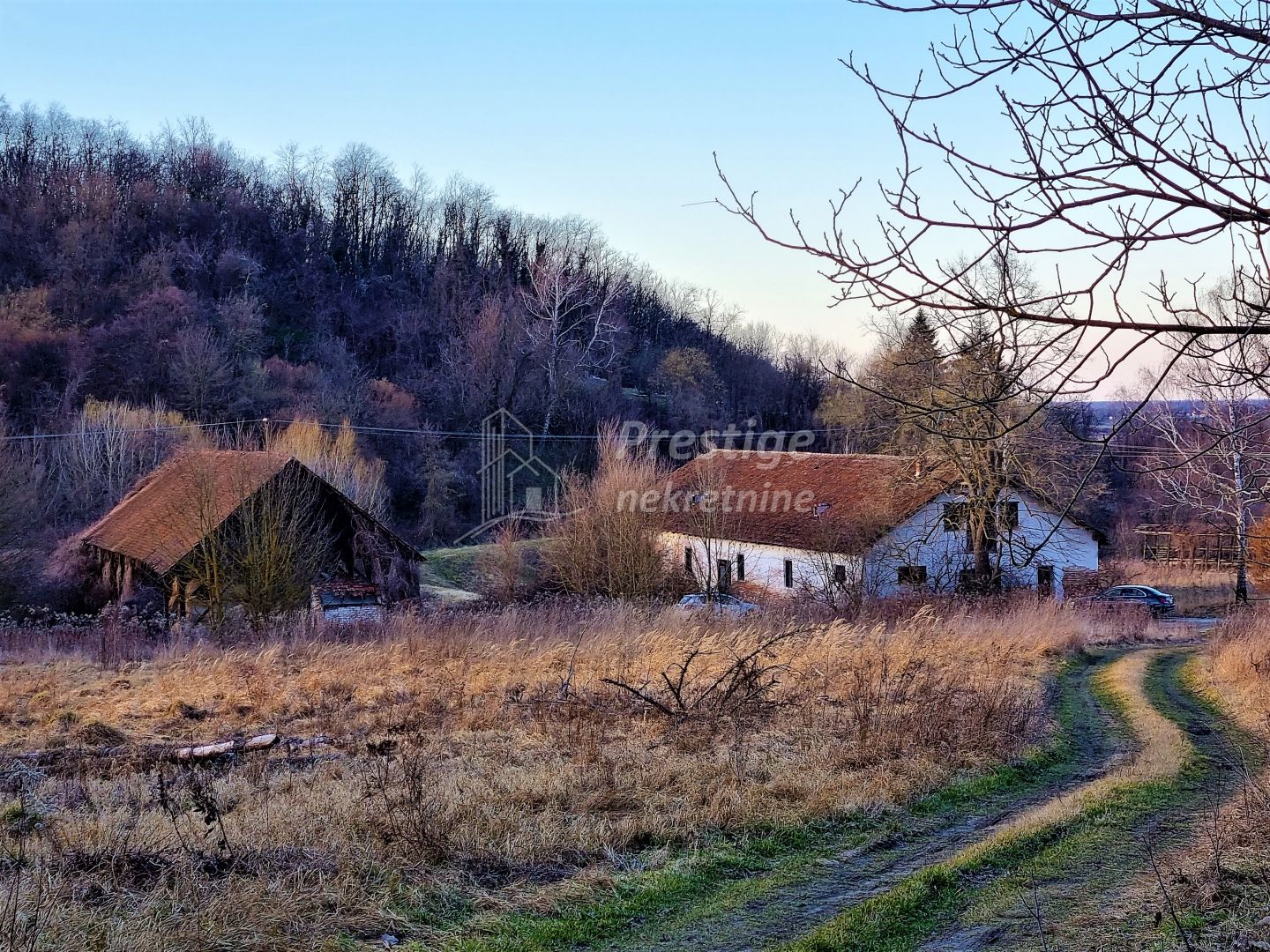 Fotografija