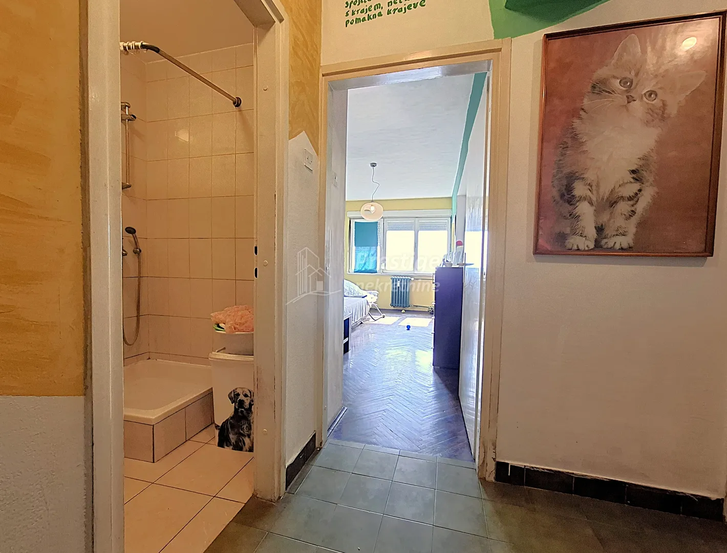 Ulica Vincenta iz Kastva, Srednjaci, stan 58m2 - cover