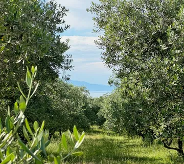 Poljoprivredno zemljište, prodaja, Grad Krk, Hrvatska, 24399 m2, 630.000,00 EUR - Muraj, Krk