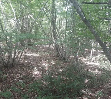 Poljoprivredno zemljište, prodaja, Vrbnik, Hrvatska, 34519 m2, 120.000,00 EUR