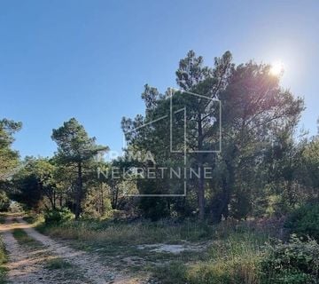 Građevinsko zemljište, otok Vir, površina 1200 m2 - cover