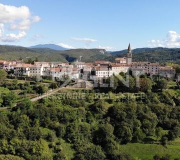 ISTRA, BUZET, UREĐENA KAMENA KUĆA, PRODAJE SE - cover