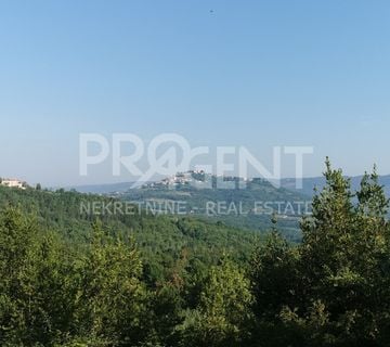 ISTRA, MOTOVUN, KALDIR, NAPUŠTENO SELO, PRODAJE SE - cover