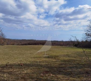 PRODAJA, POLJOPRIVREDNO ZEMLJIŠTE, ŽMINJ 59.000 M2 - cover