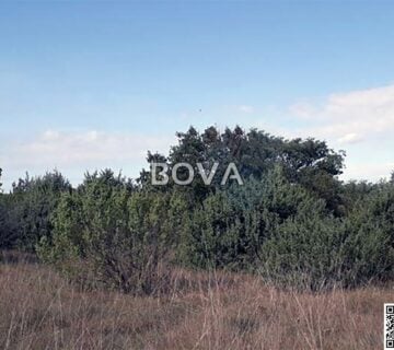 Poljoprivredno zemljište 9778 m2 – Žerava *Pašnjak* (ID-2409/E) - cover