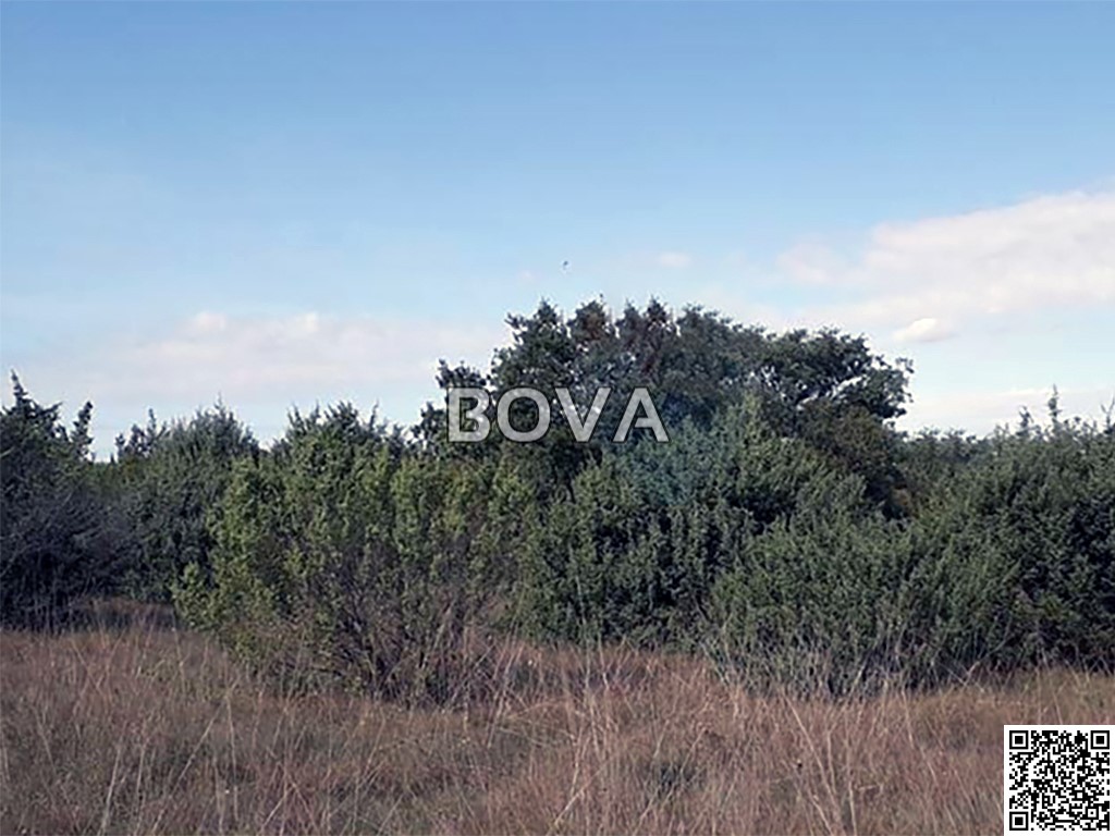 property-1711221516502zerava