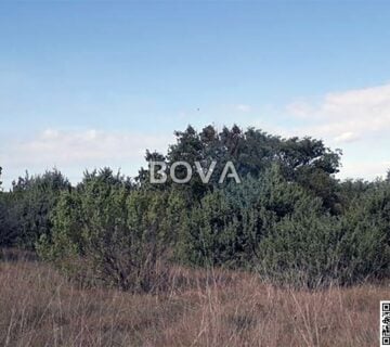 Poljoprivredni teren 1517 m2 – Žerava *Povoljno* (ID-2439/E) - cover