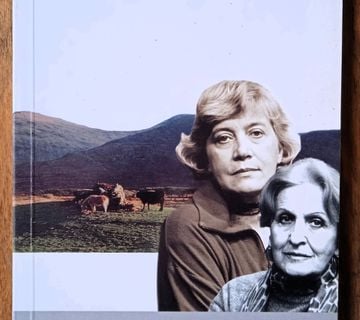 LJEPOTICA IZ LEENANEA Martin McDonagh - cover