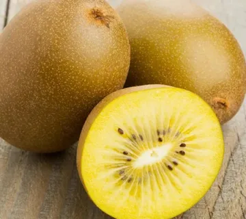 ACTINIDIA DE.”Gold” kiwi - cover