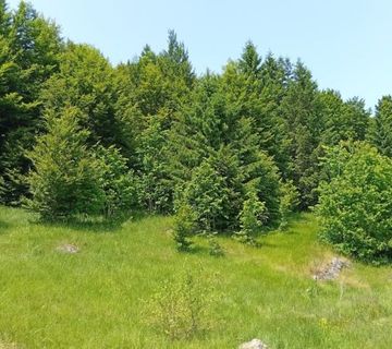 Gorski kotar, Stari Laz zemljište prodaja - cover