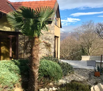 šumska vila Dryad - cover