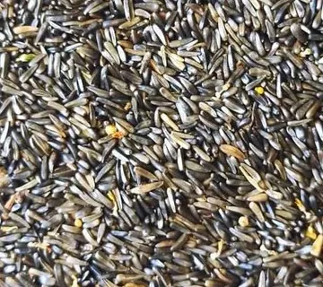 Niger sjemenke 1kg - cover