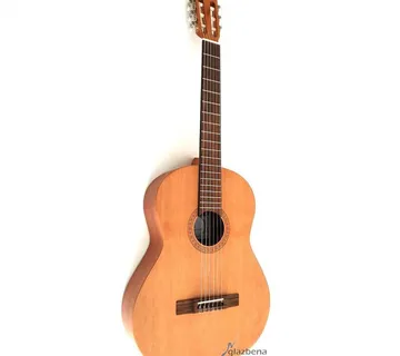 APC 1C OP KLASIČNA GITARA - cover