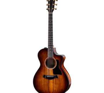 TAYLOR 222ce-K DLX - cover
