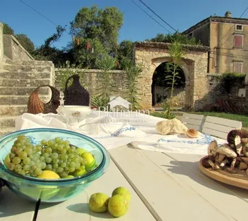 ISTRA, MARČANA OKOLICA, RENOVIRANO, TOP (prodaja) - cover