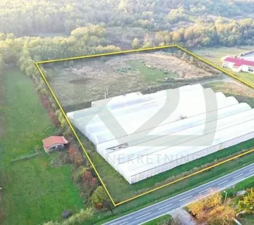Građevinsko zemljište sa plastenicima, Orahovica 7.343 m2 - Orahovica, Orahovica