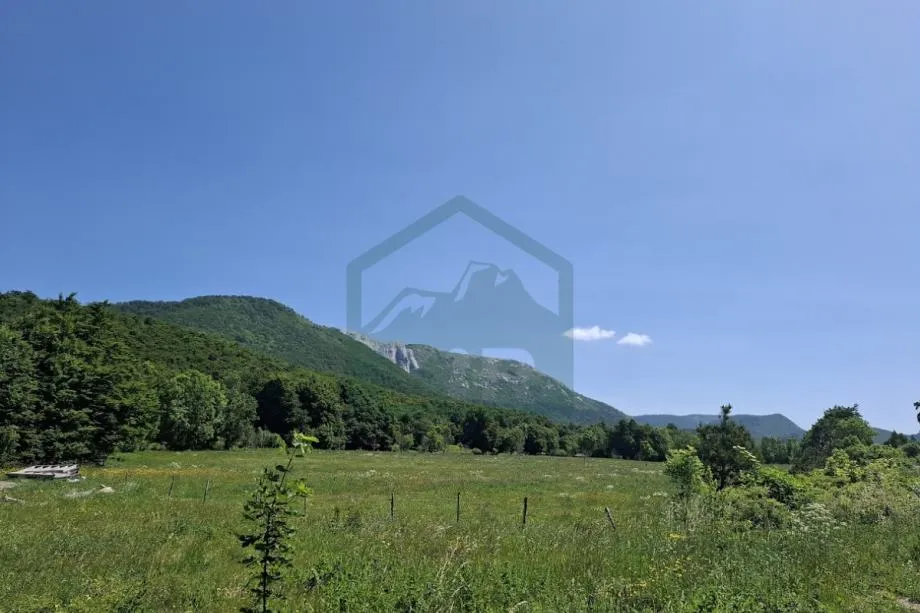 Fotografija