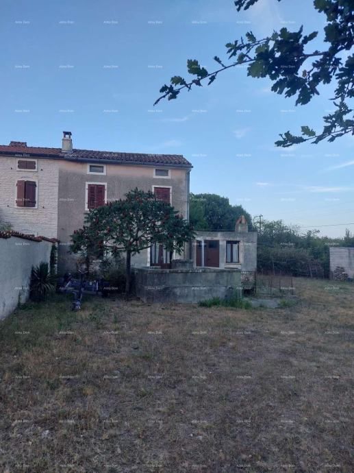 Fotografija