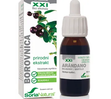 Borovnica XXI ekstrakt - cover