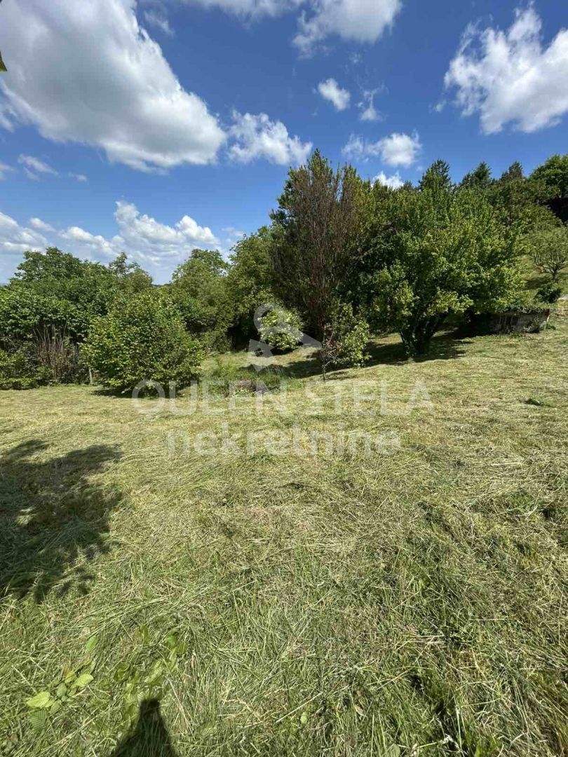Fotografija