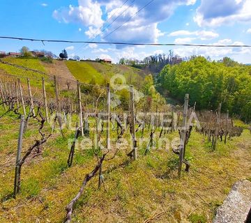 Vikend kuća Vinica Breg, 220 m2, vinarija, vinogradi, zemljište 5848 m2 - cover