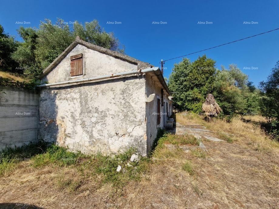 Fotografija