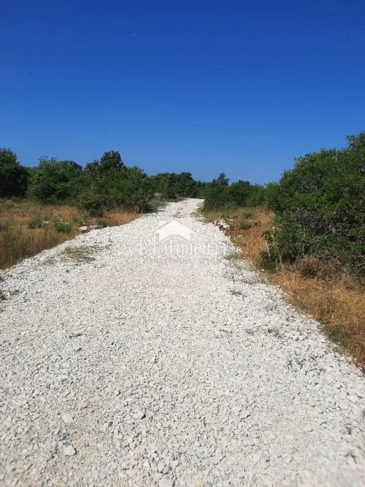 Fotografija