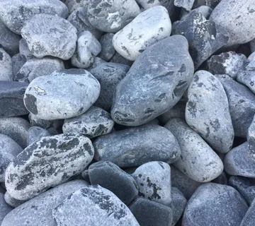 Oblutak Nero - cover