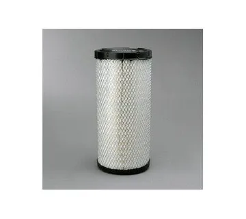 Filter zraka Donaldson P828889 - cover