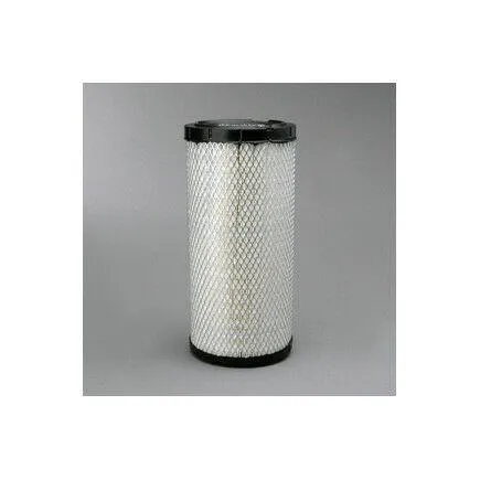 Filter zraka Donaldson P828889 - cover
