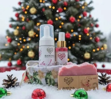 Božićni vilinski set - cover