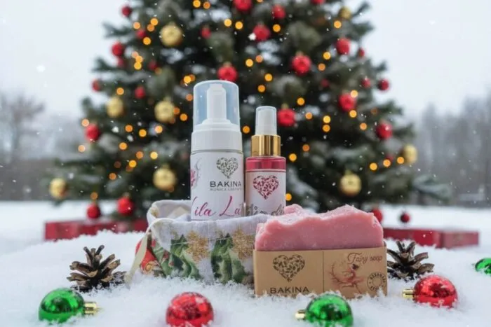 Božićni vilinski set - cover