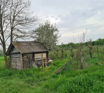 VOĆNJAK JABUKA - cover