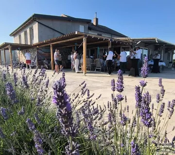 Turistički smještaj Čepin - cover