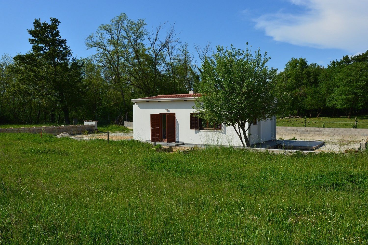 Fotografija