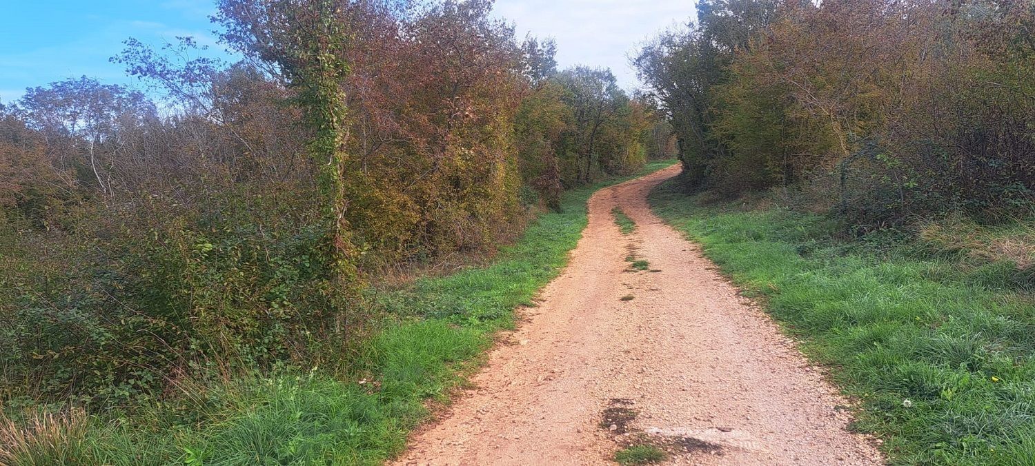 Fotografija